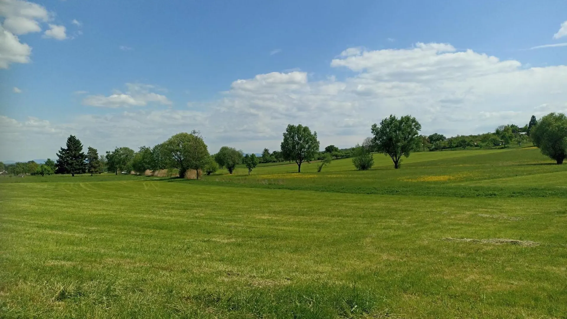 Phils Cozy Apartment Bed And Self Breakfast Self Check In Near Airport Leinfelden-Echterdingen